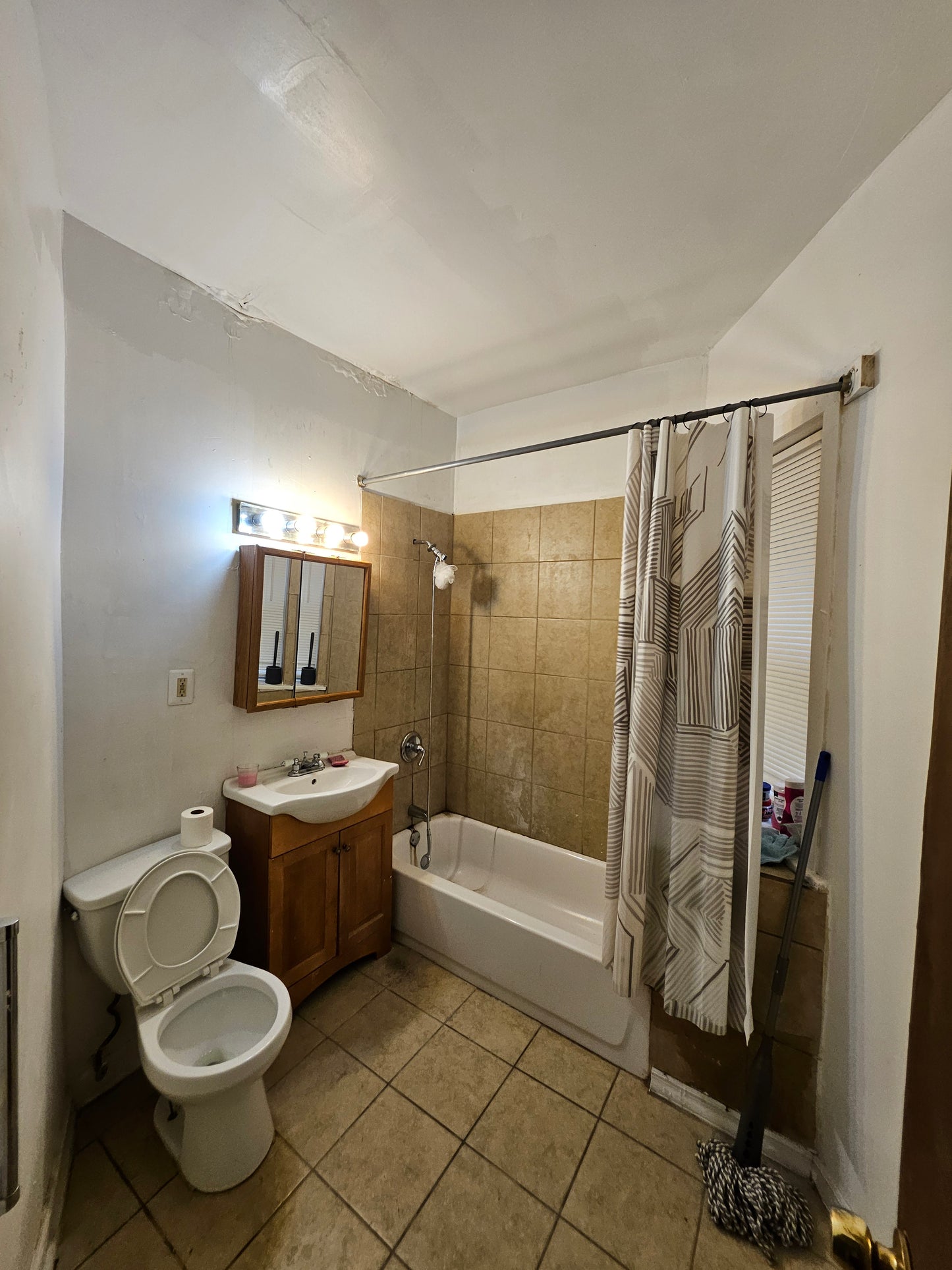 South Chicago Multi-Unit + Coach House | 10 Bed, 4 Bath