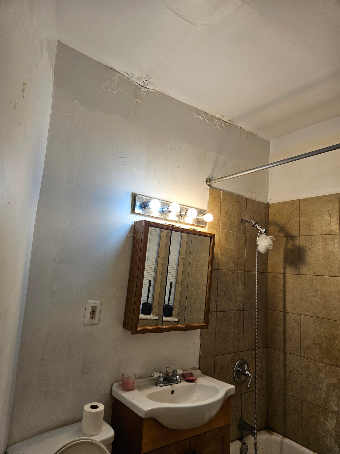 South Chicago Multi-Unit + Coach House | 10 Bed, 4 Bath