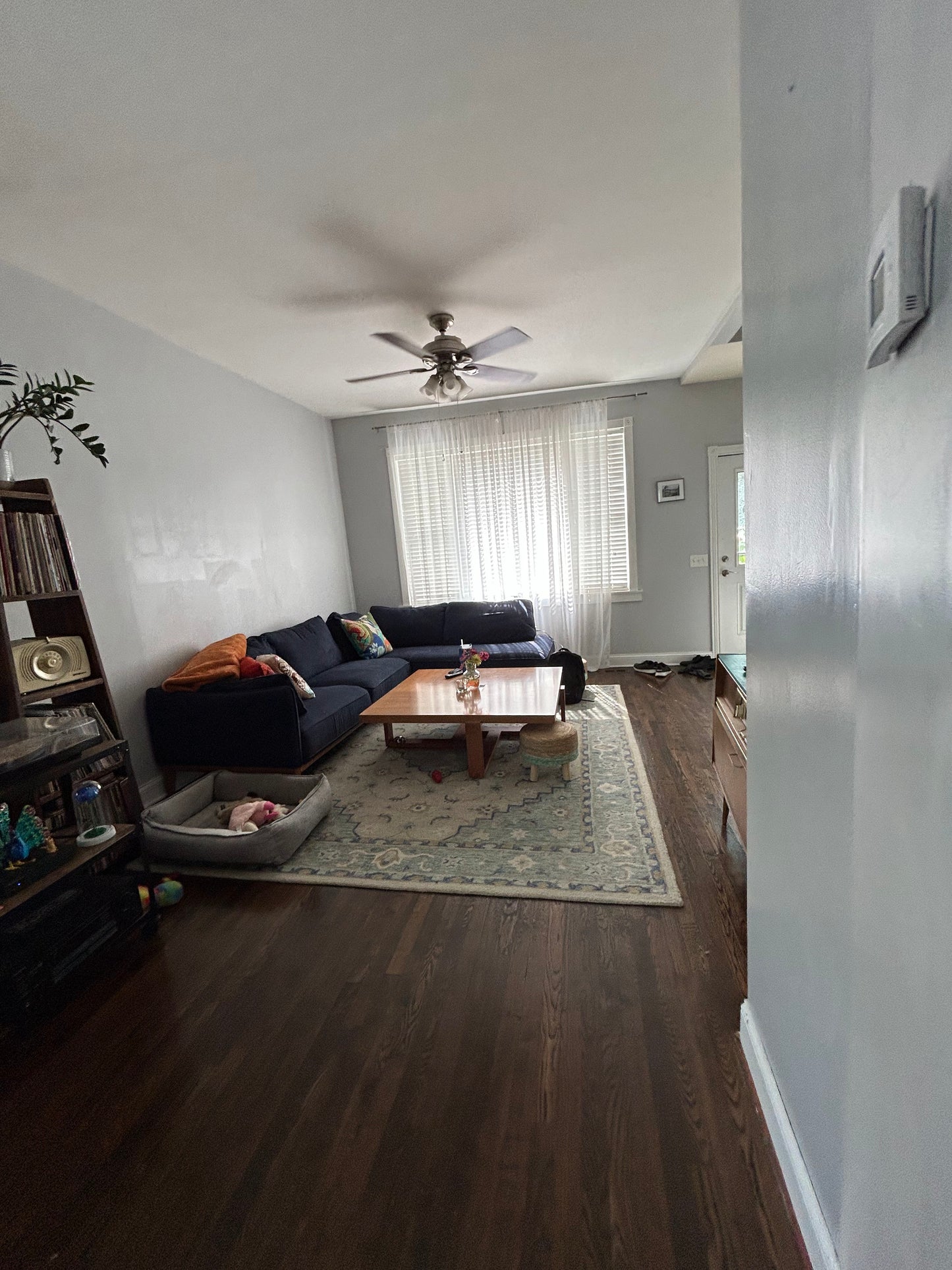 Avondale - Single Family House 3BR Fixer Upper: HOT AREA