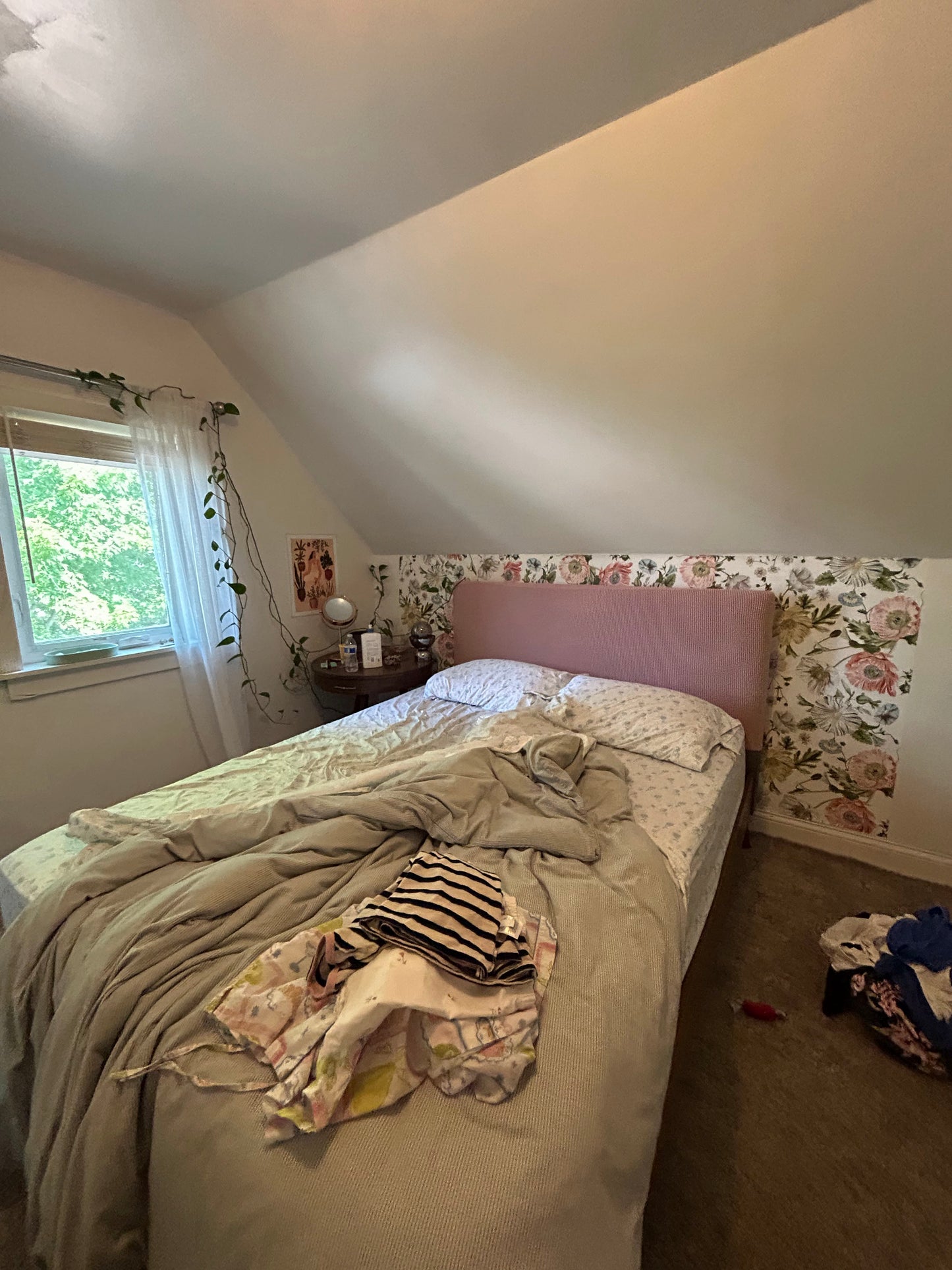 Avondale - Single Family House 3BR Fixer Upper: HOT AREA